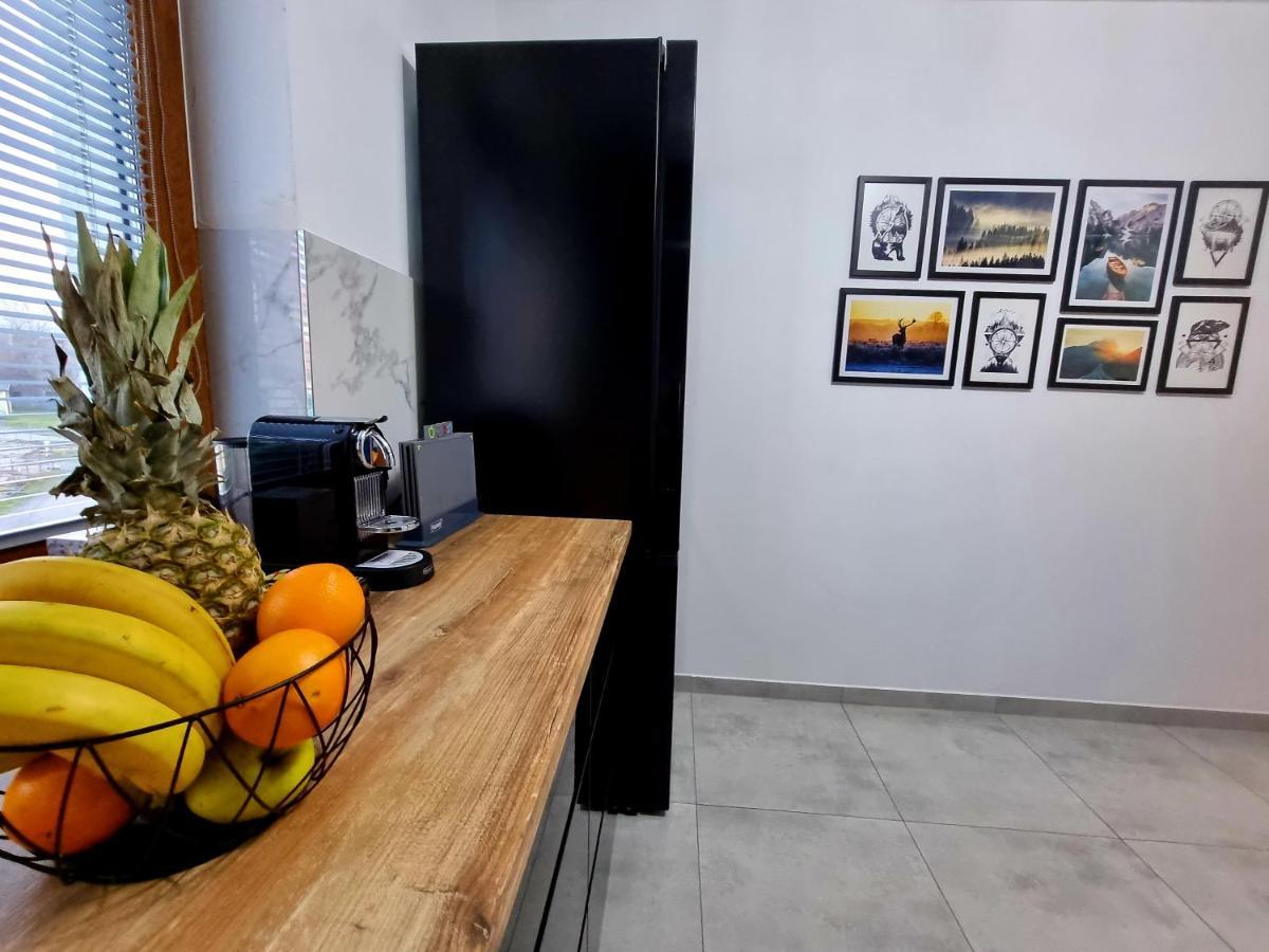 Apartament Jelonek W Karkonoszach Jelenia Góra Exterior foto
